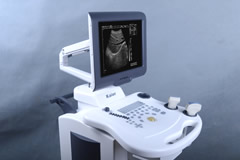 B超基礎(chǔ)知識(shí)學(xué)習(xí)--B超基本原理