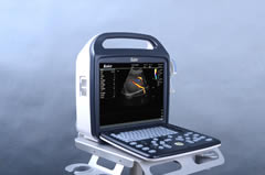 動(dòng)物B超的應(yīng)用范圍 獸用B超用途分析