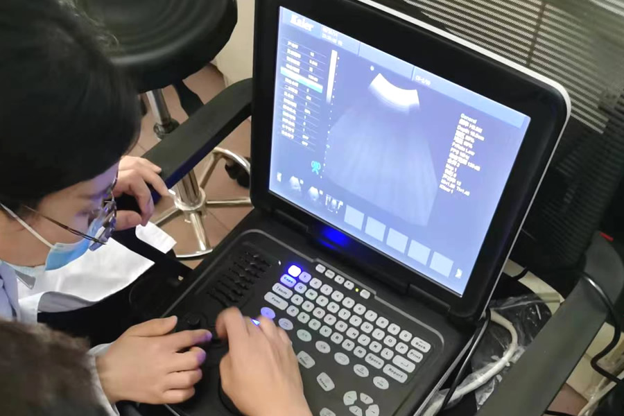 陰道B超,陰道超聲系統(tǒng)