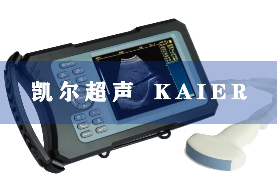 母豬懷孕多久能做b超？