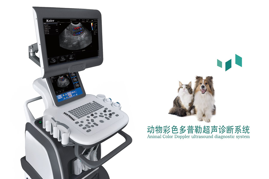 教您怎樣使用獸用B超機？