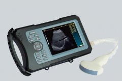 豬用b超機(jī)多少錢一臺(tái)，怎么選購(gòu)豬B超機(jī)