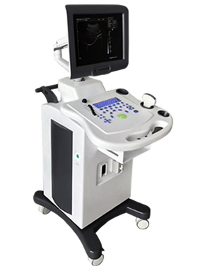 推車式全數(shù)字黑白B超機